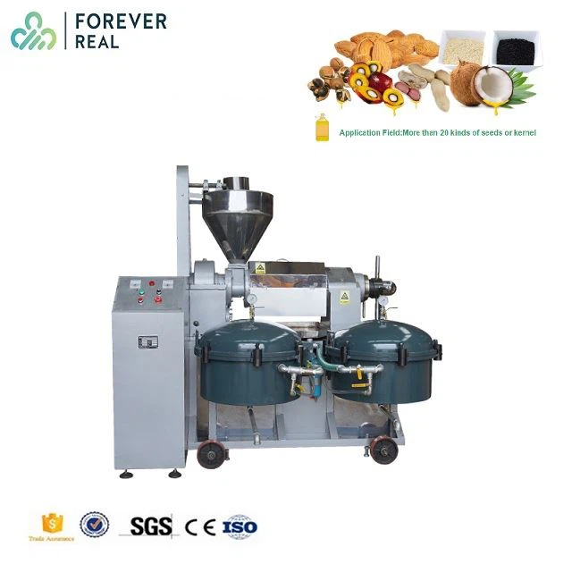 sesame oil extraction